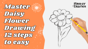 Read more about the article Master Daisy Flower Drawing: 12-steps-to-easy