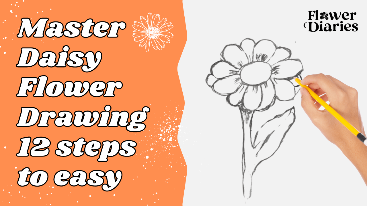 You are currently viewing Master Daisy Flower Drawing: 12-steps-to-easy