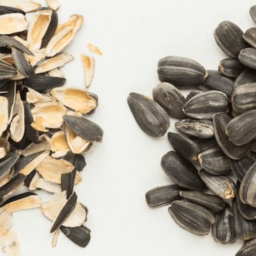 sunflower, sunflower seeds, Weight Loss, and Health Benefits