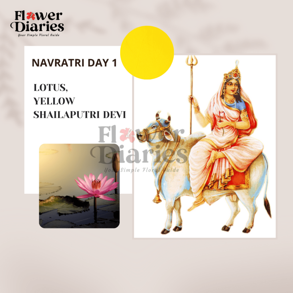 Navratri 2024 Colors navratri 2024 date Dussehra 2024