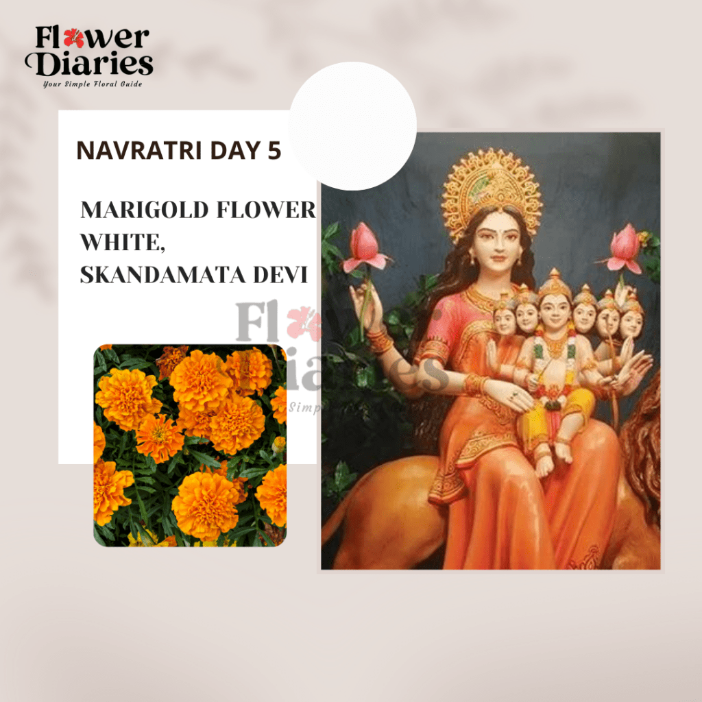 Navratri 2024 Colors navratri 2024 date Dussehra 2024