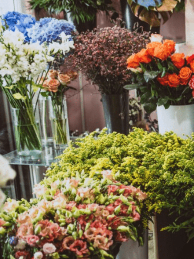 10 Easy-to-Grow Flowering Plants for Vibrant Indian Homes