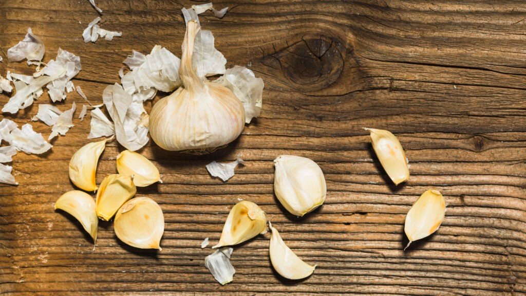 Homemade Organic Fertilizers