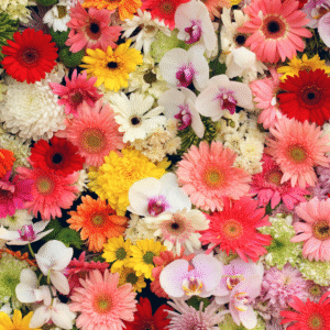 Read more about the article 25 State Flowers of India: Names, Scientific Details & Uses