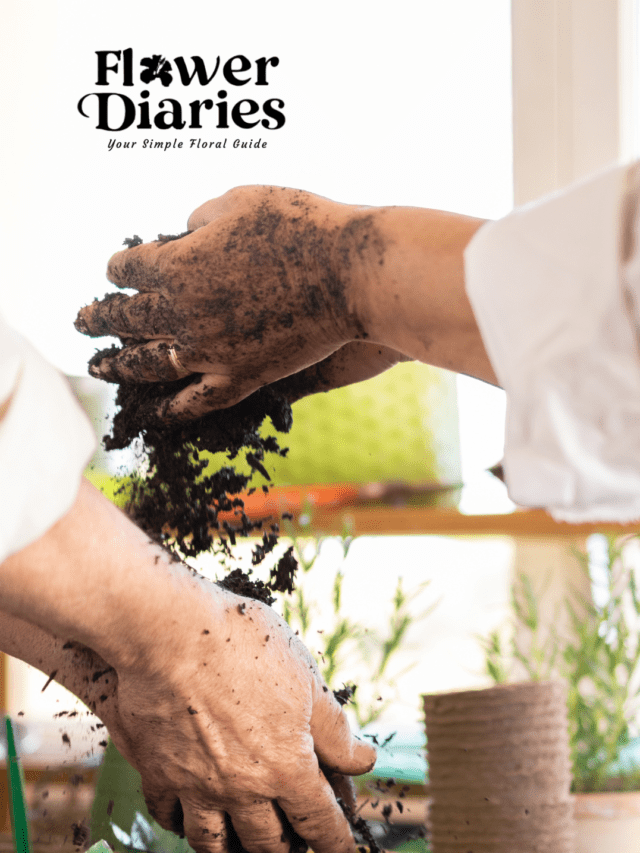 How to Make Homemade Organic Fertilizers Using 5 Easy Items