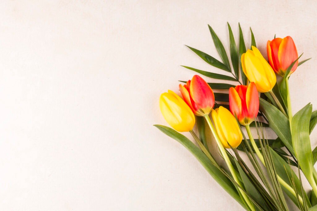 Early spring flowers